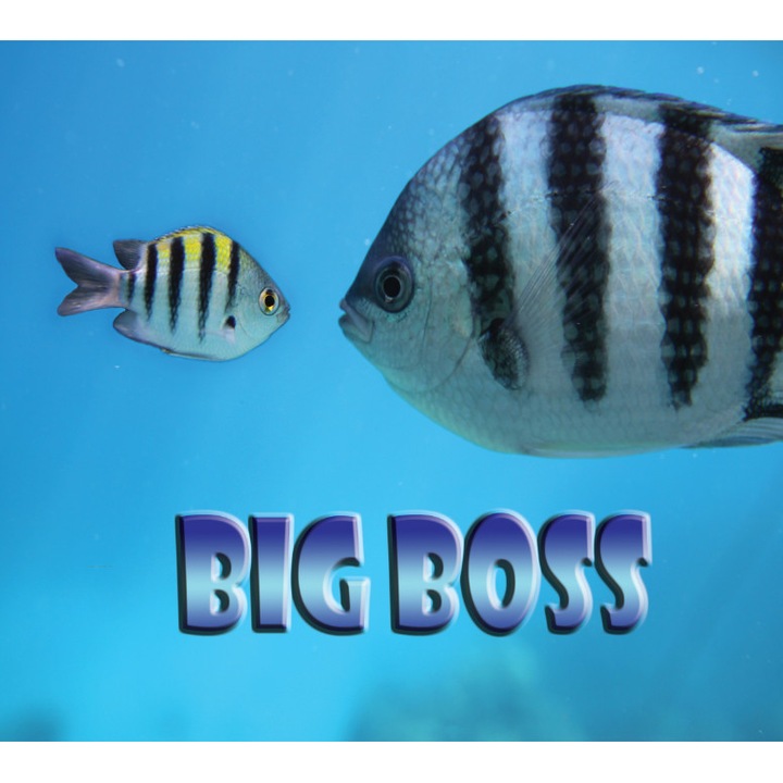 Covor pentru scaun de birou Ruvitex 3D Decor, protectie pardoseala, 59418229, 100 x 120 cm