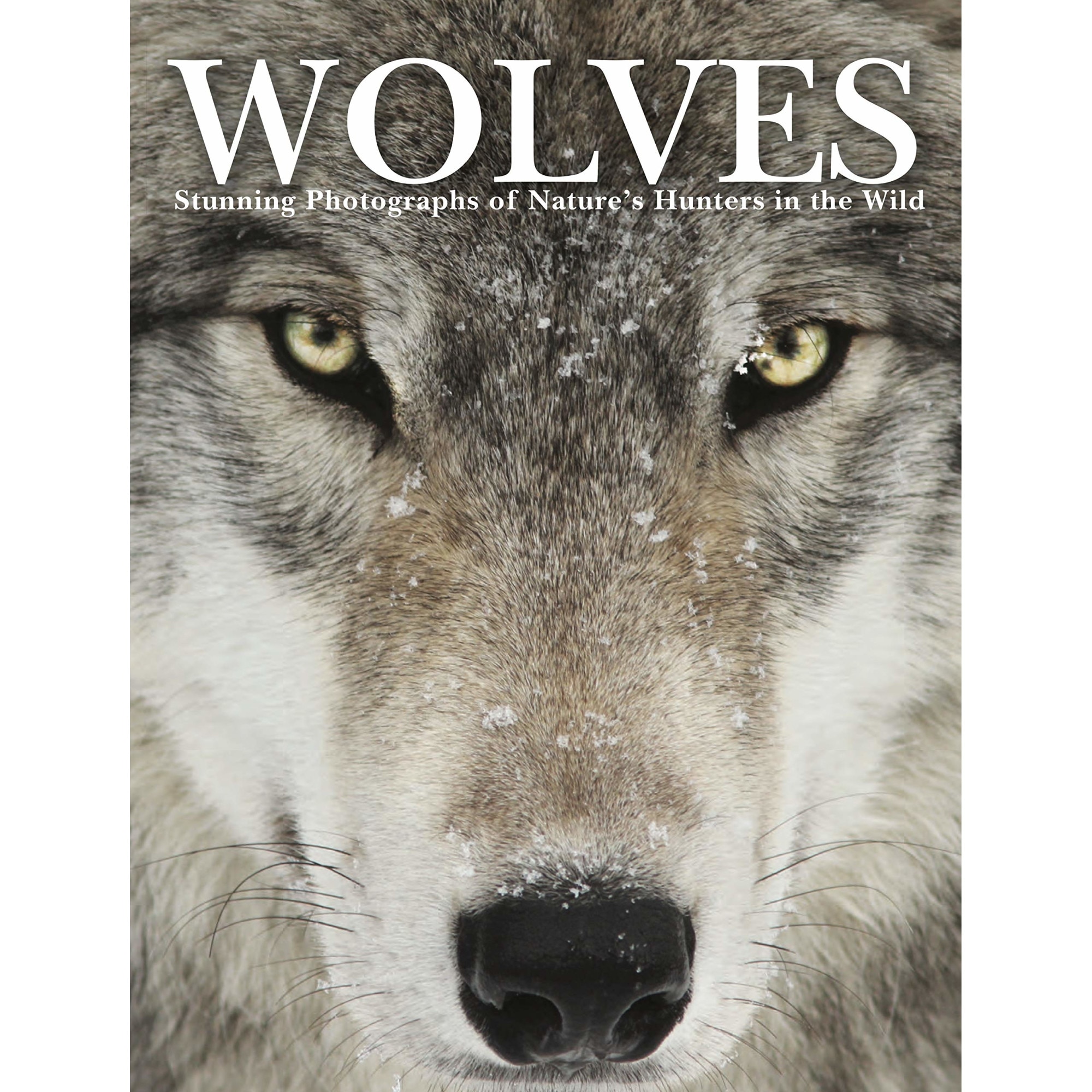Wolves - Tom Jackson