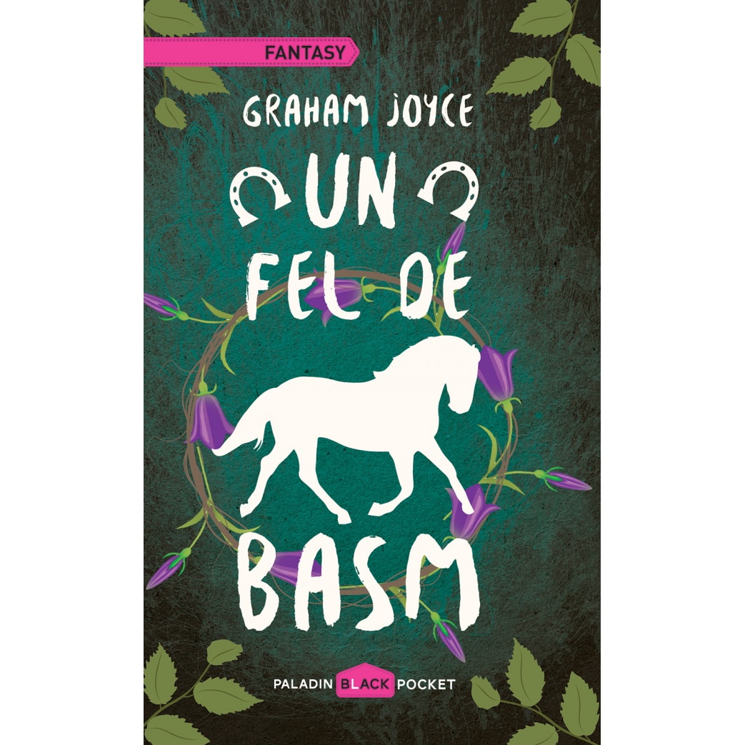 Un fel de basm - Graham Joyce