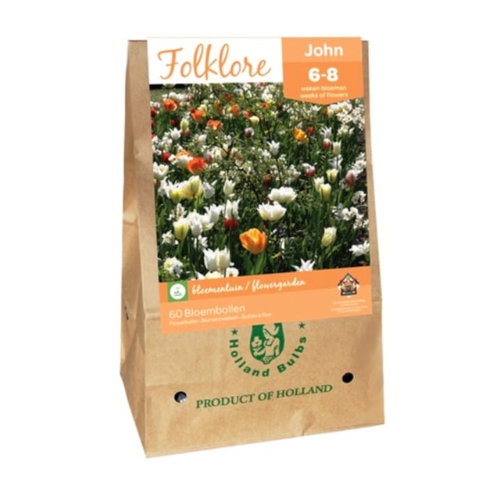 Hollandica, John Folklore, virághagymák, 60 darab