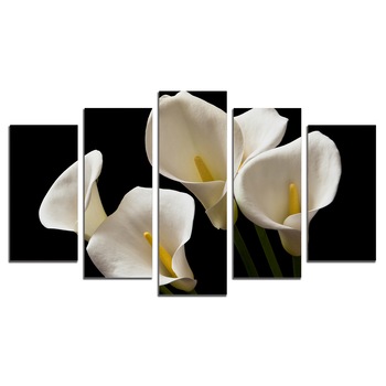 Tablou Multicanvas, 5 Piese, Crini calla, 158х90 cm Tablou Multicanvas, 5 Piese, Crini calla, 158х90 cm