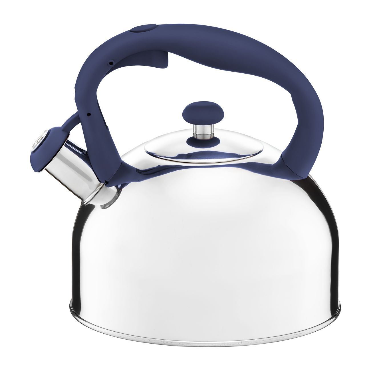 Ceainic cu maner colorat, Ambition, Tropical, 2.3L, albastru