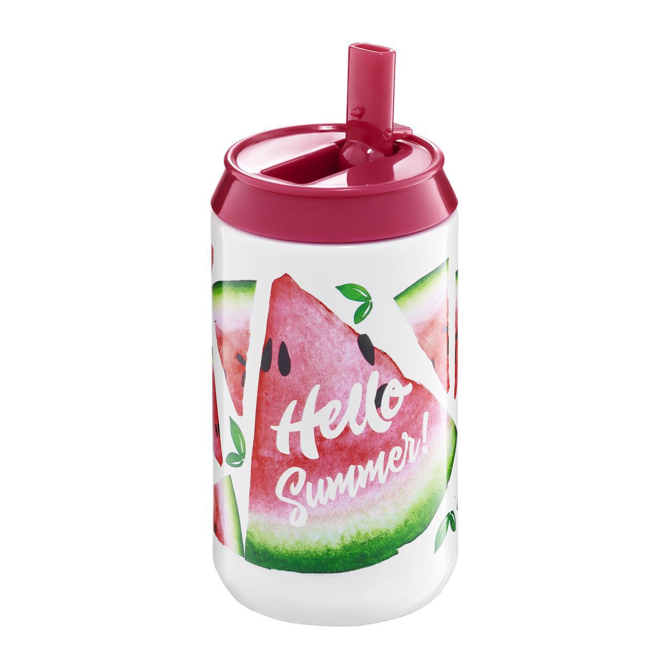Cutie termos 250ml pepene visiniu Tropical