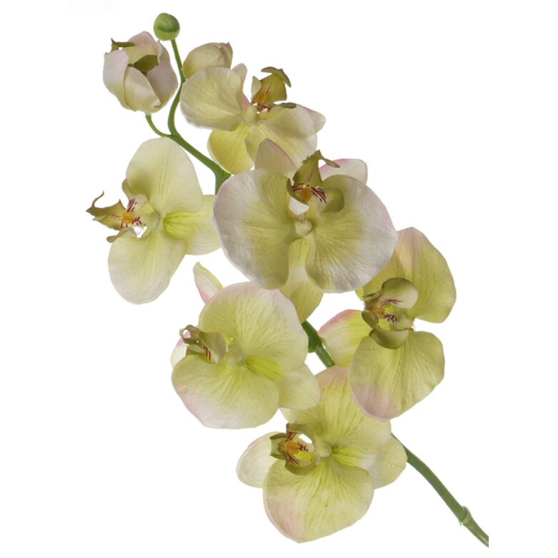 Floare artificiala Orhidee verde 75cm