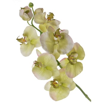 Floare artificiala Orhidee verde 75cm Floare artificiala Orhidee verde 75cm