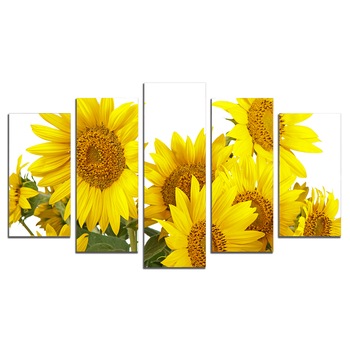 Tablou Multicanvas, 5 Piese, Soarelui, 158х90 cm Tablou Multicanvas, 5 Piese, Soarelui, 158х90 cm