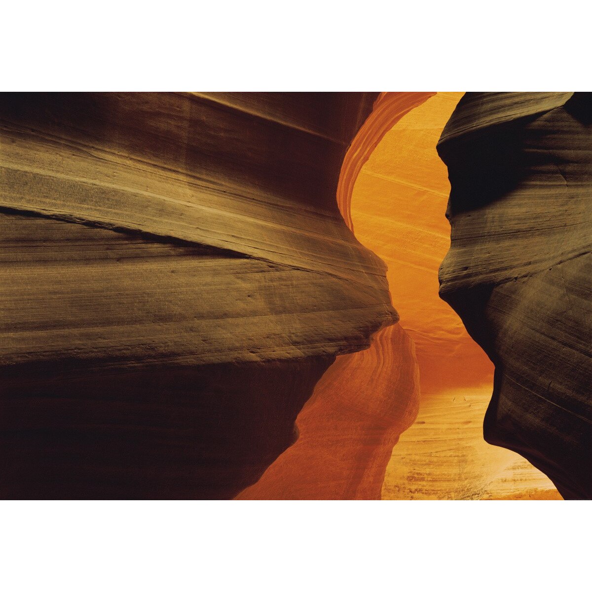 Fototapet cu natura komar 1-603 maro 184cm x 127cm