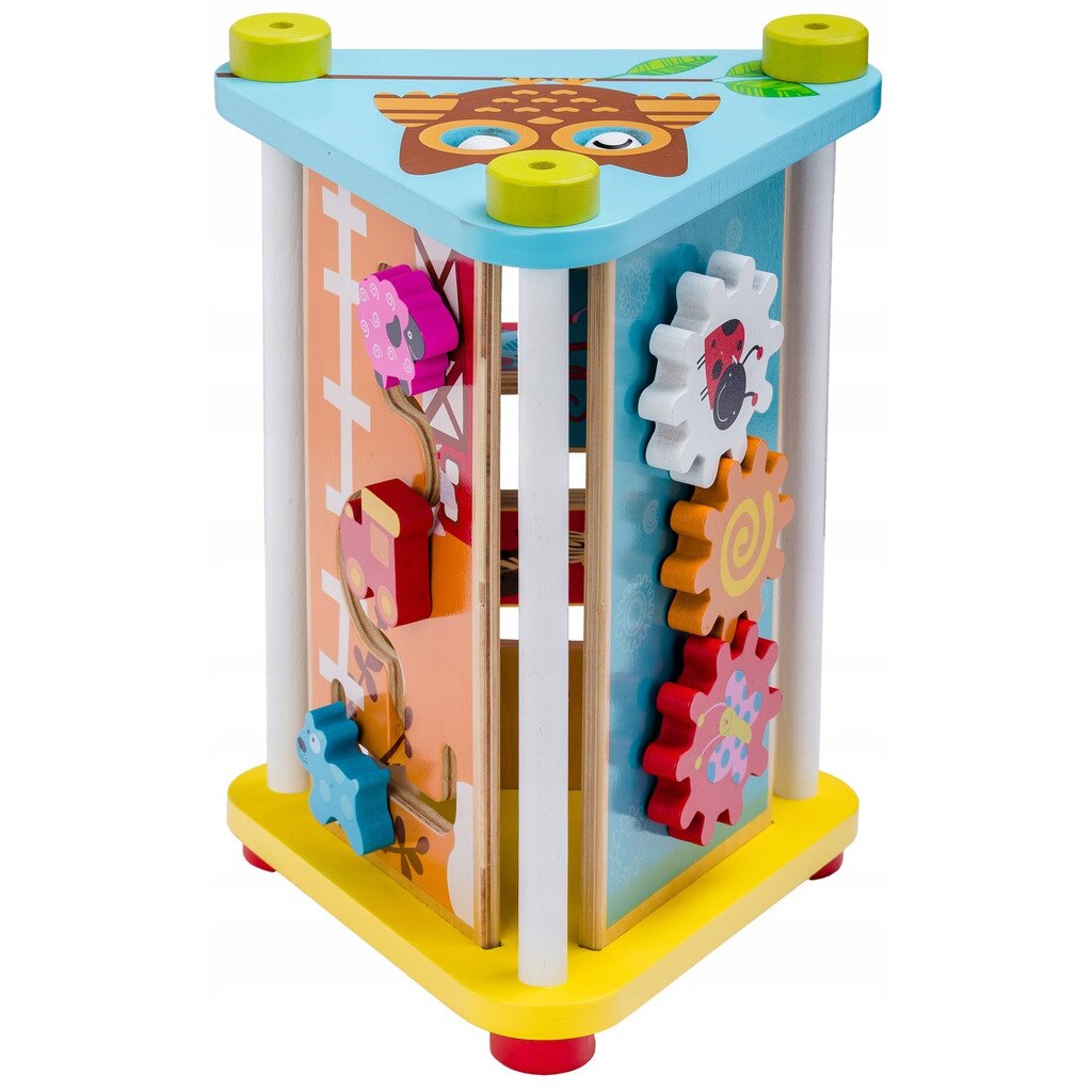 Jucarie educativ din lemn 5in1