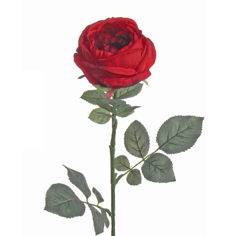 Floare artificiala Trandafir englezesc XL 75 cm rosu