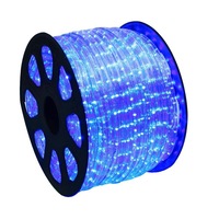 Instalatie Craciun tip furtun luminos STARMAG Magic Night, 1m cu 30 becuri luminoase/m pentru iluminarea interiorului cat si exteriorului, Culoare Albastru