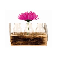 Set de trei vaze din sticla, in suport Ladita din lemn, Maro/Transparent, H11 cm, 19x6.5 cm