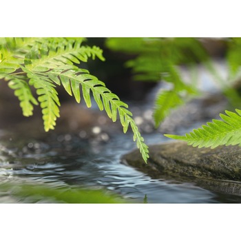 Fototapet Peisagistic Komar 1-611 184cm x 127cm Fototapet Peisagistic Komar 1-611 184cm x 127cm