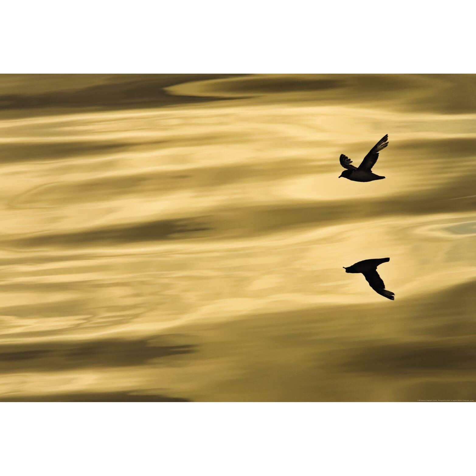 Fototapet peisagistic Komar 1-604 184cm x 127cm