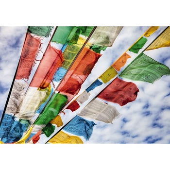 Fototapet Abstract Komar 1-606 184cm x 127cm Fototapet Abstract Komar 1-606 184cm x 127cm