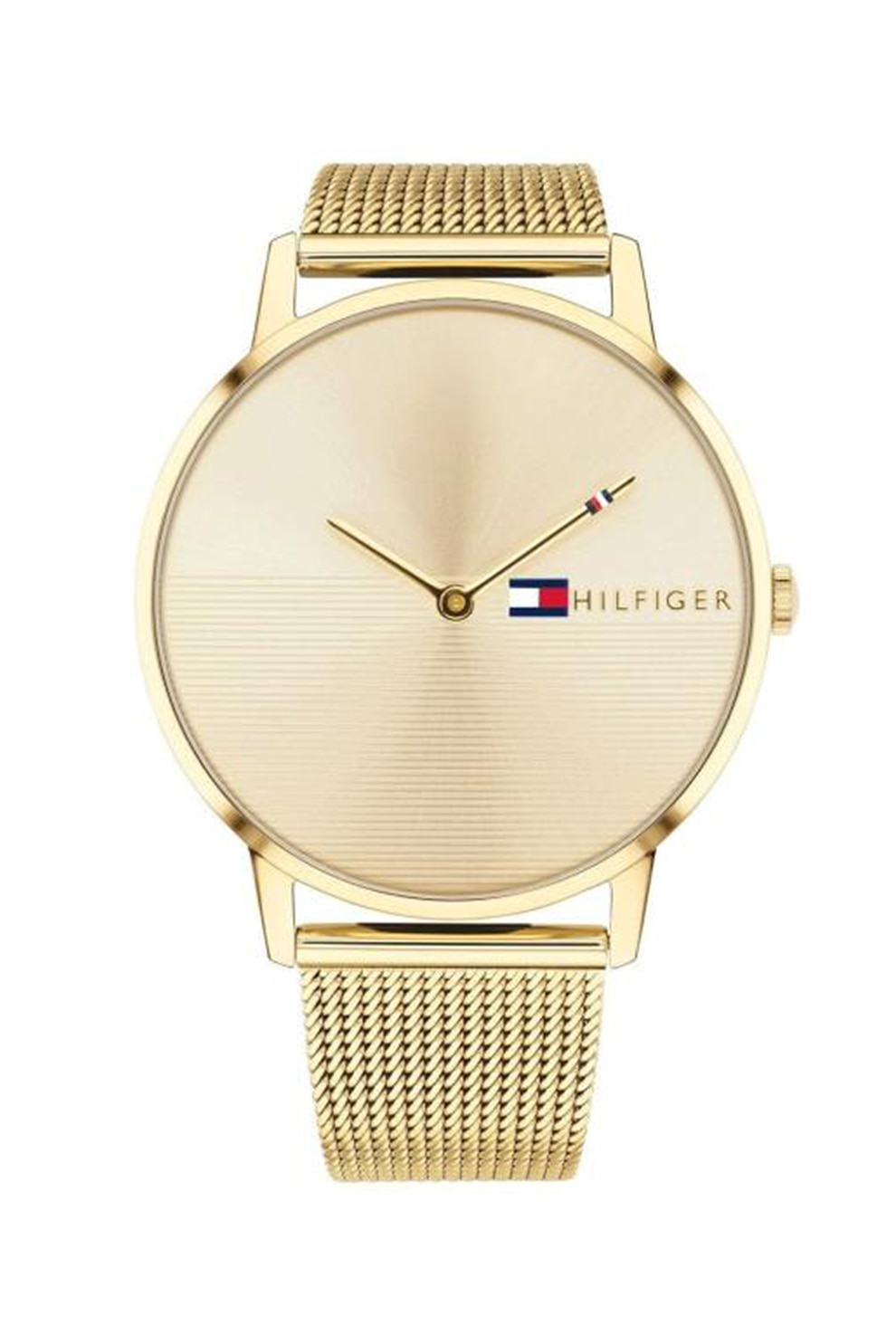 Tommy Hilfiger, Ceas de otel inoxidabil cu bratara cu model tip plasa, Auriu