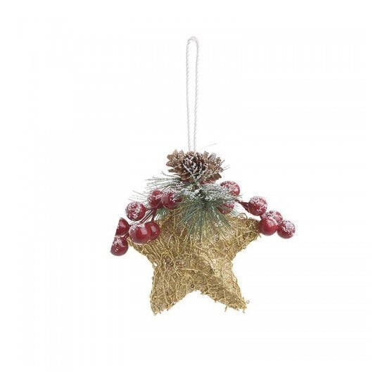 Set 6 ornament brad Golden Star H12 cm