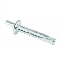 Diblu de expandare din otel galvanizat Rigips, 6x40 mm, 100 buc