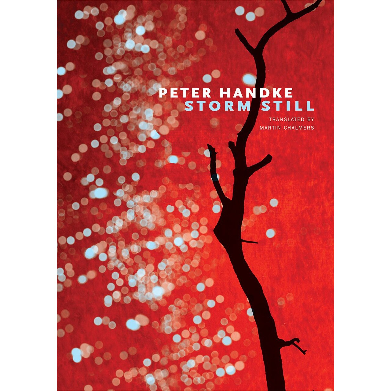 Storm Still - Peter Handke, editia 2018