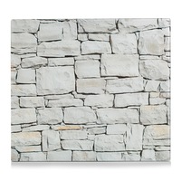 placa sticlaprotectie perete-model piatra imagen 14_0_
0