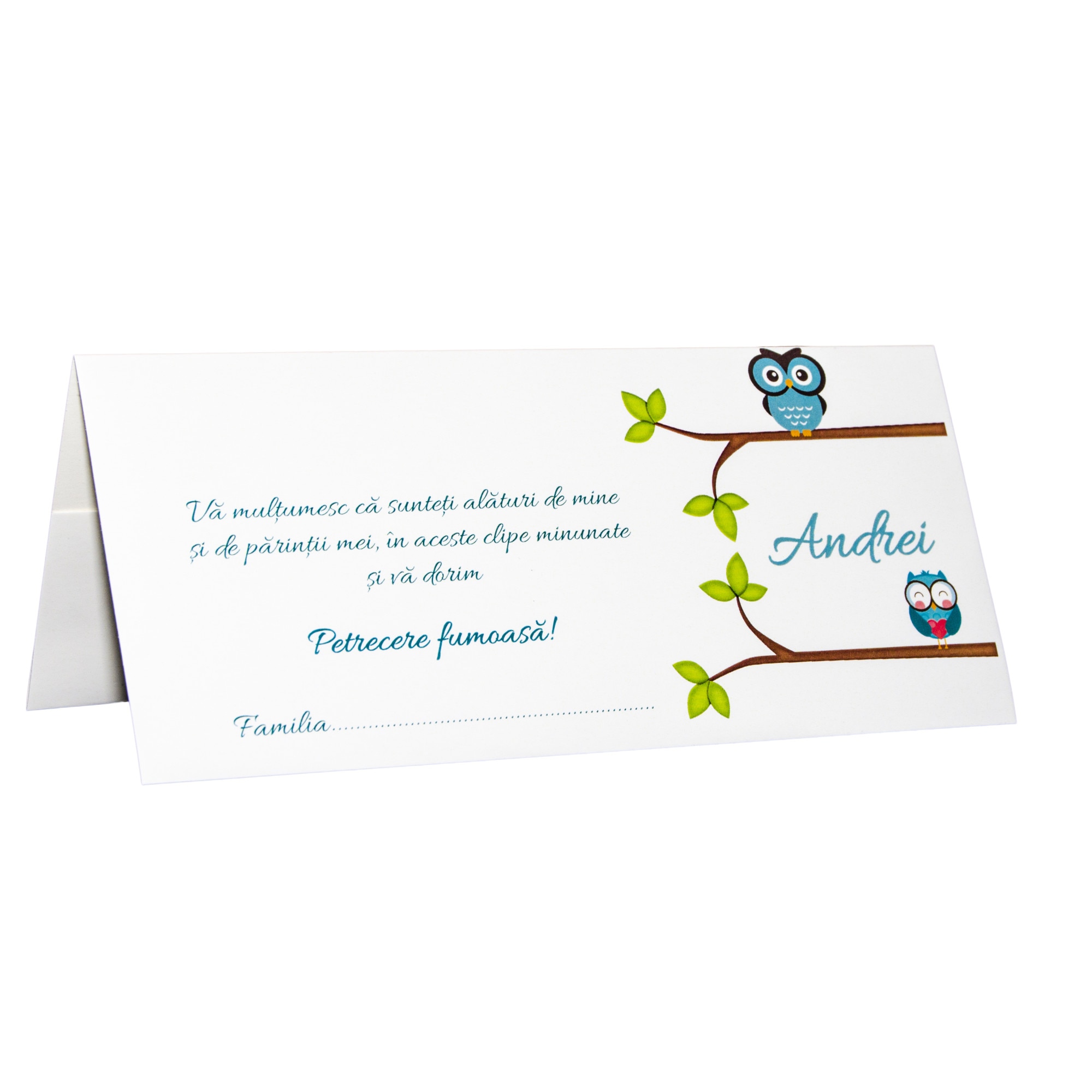 Plicuri bani botez cu bufnite, PB1937, set 10 buc