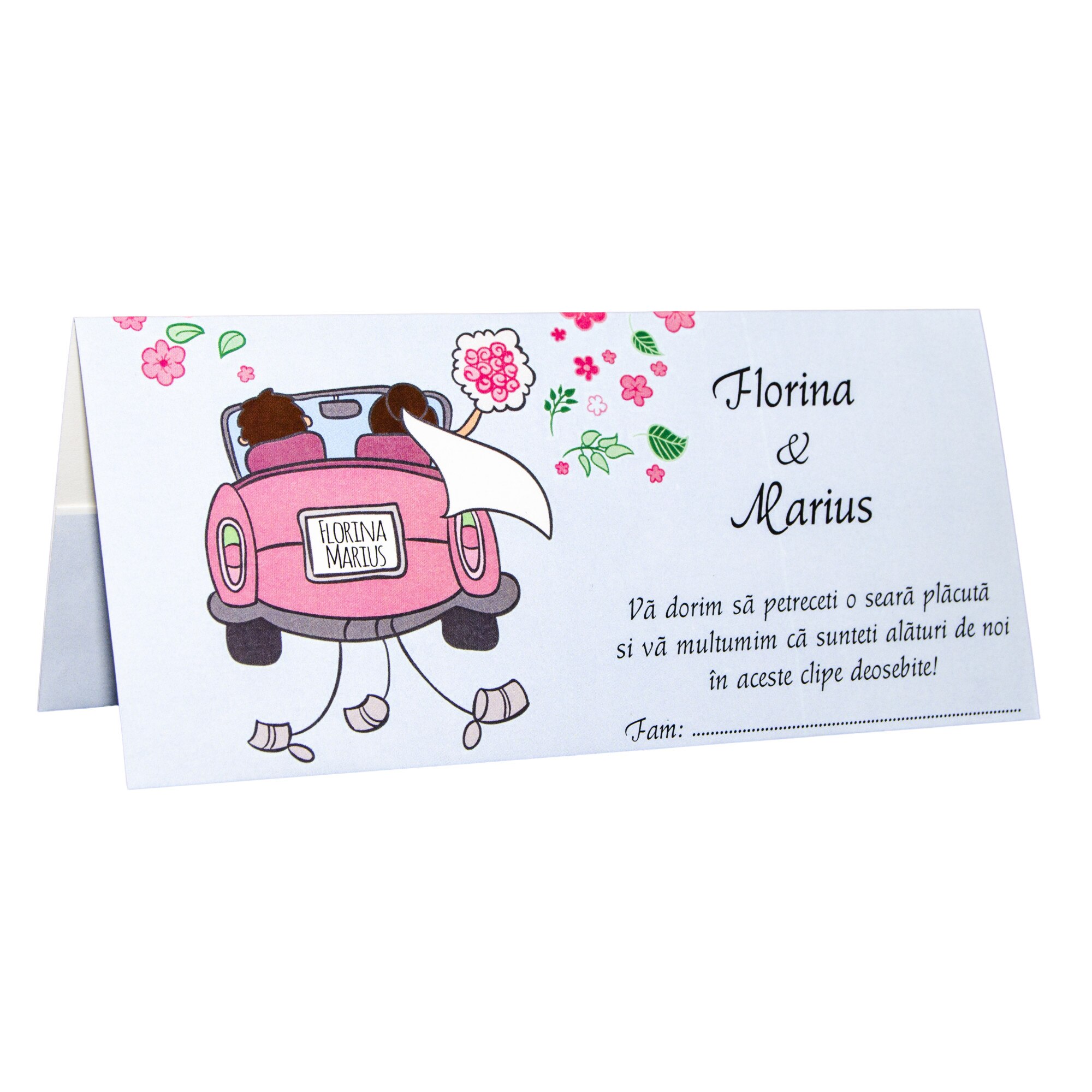 Plicuri bani nunta, PN1907, 10 buc