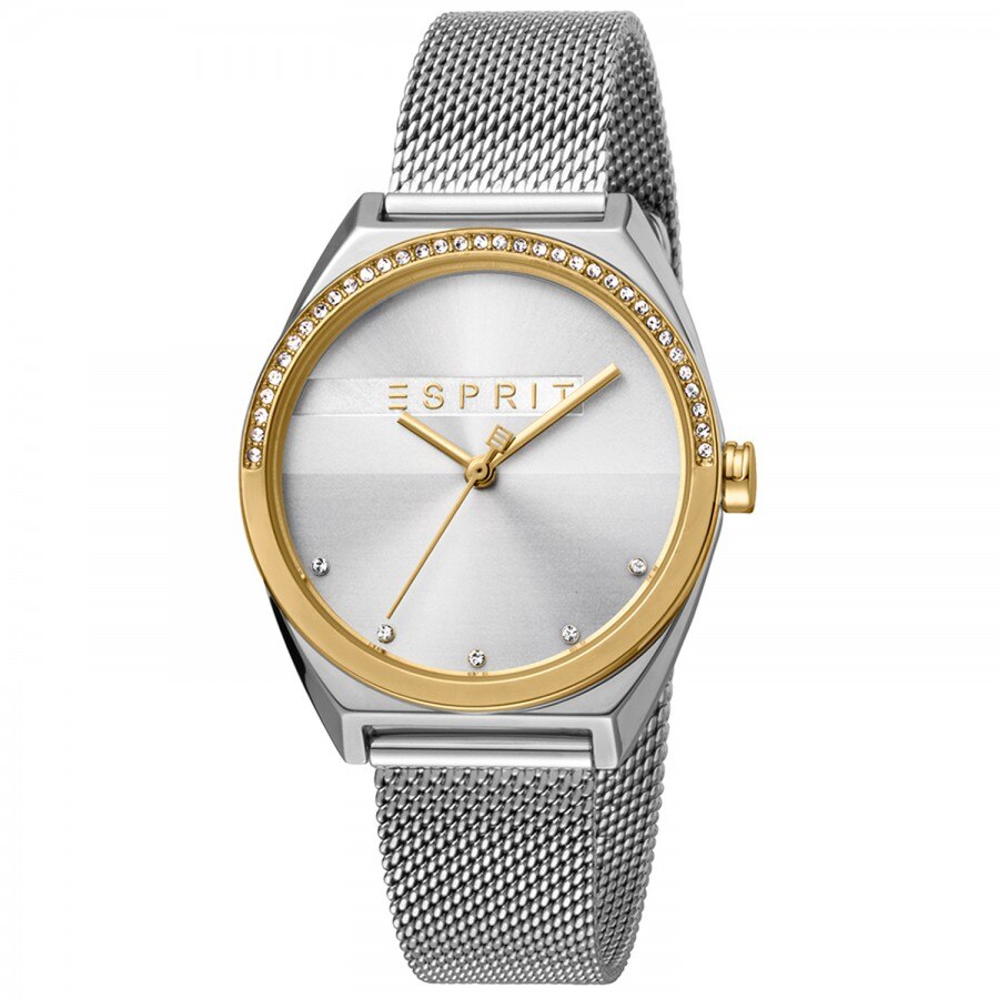Ceas de dama, Esprit ES1L057M0075, cu bratara metalica, Argintiu