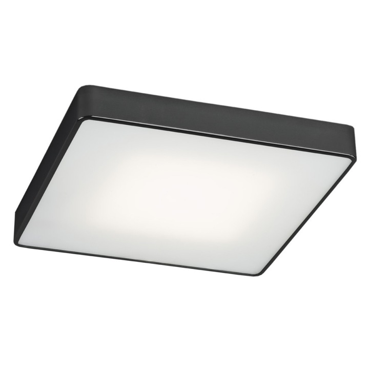 Plafoniera Argon, Ontario, 2 panouri, E27, Otel/Sticla, Negru