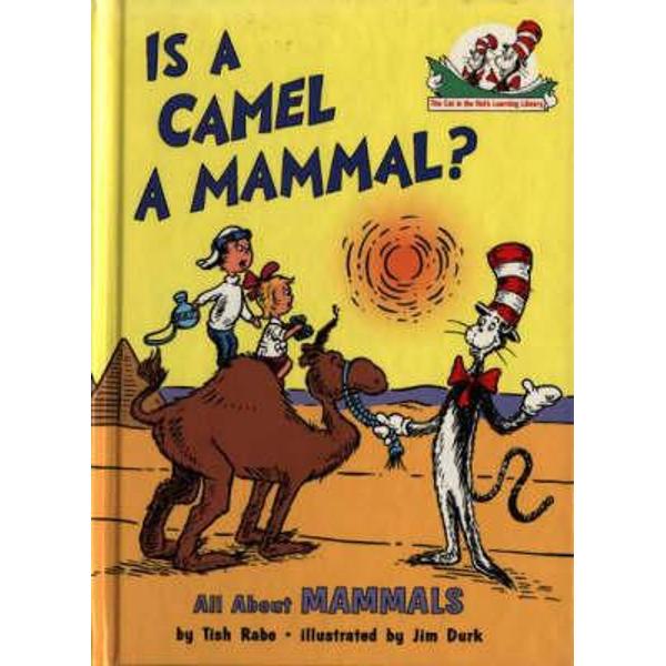 Is a Camel a Mammal?