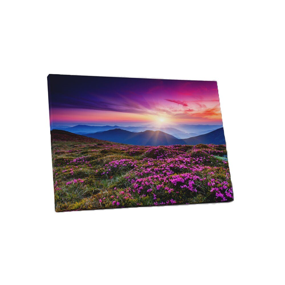 Rasarit inflorit - 45x60 cm