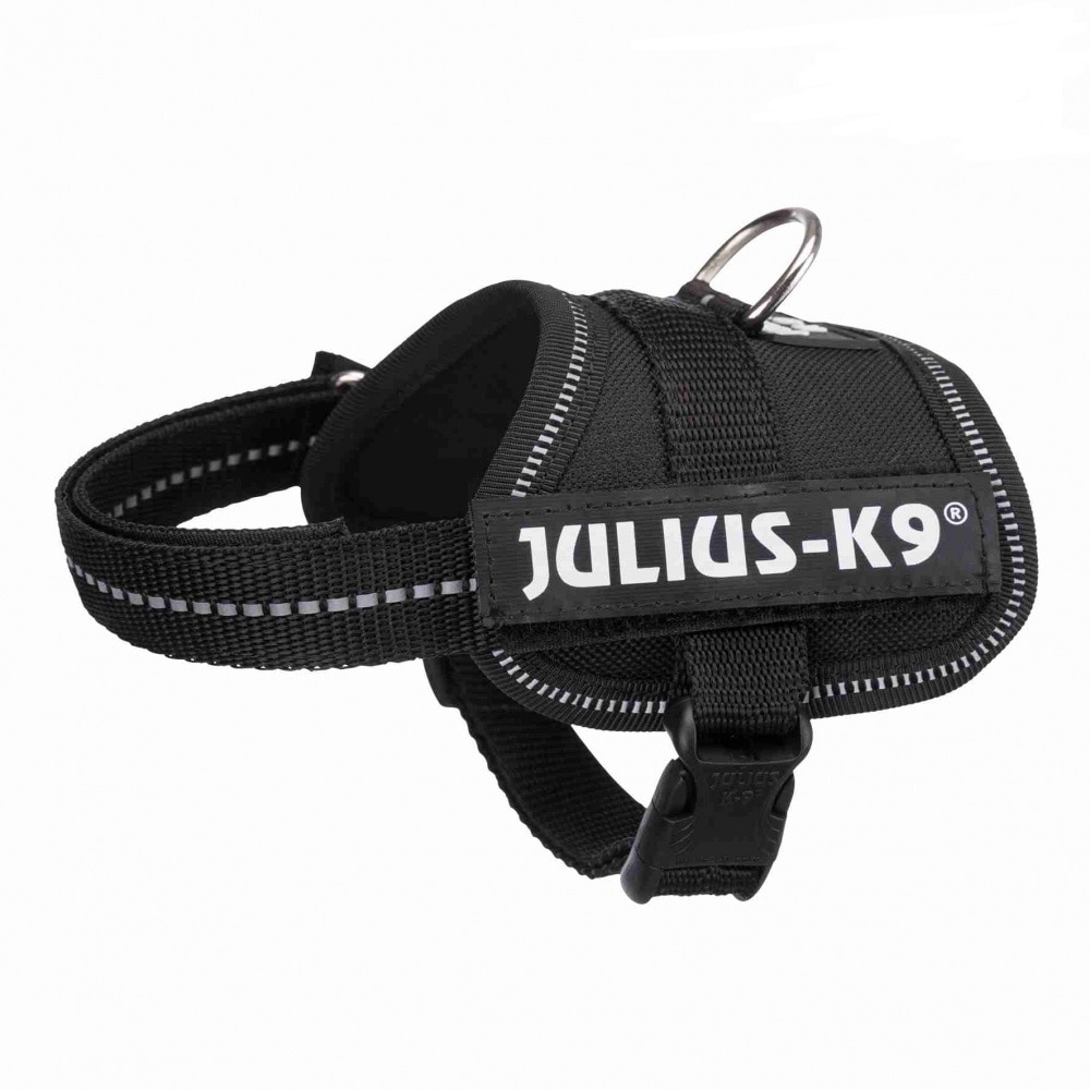 Ham Julius-K9 3XS: 26–36 cm/18 mm, Negru 150701