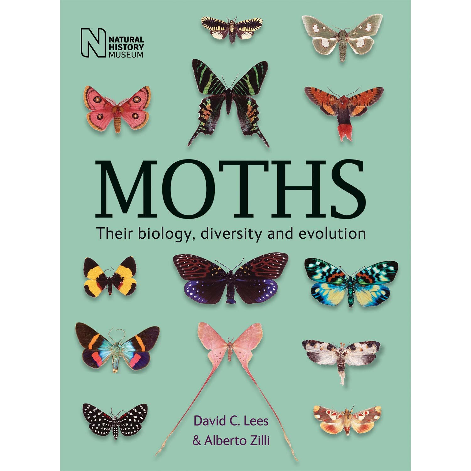 Moths - David C. Lees,Alberto Zilli