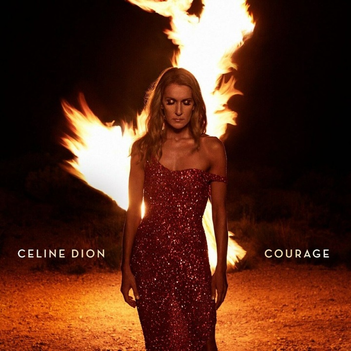 Celine Dion - Courage (cd)