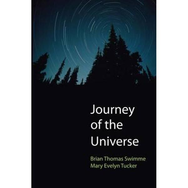 Journey of the Universe