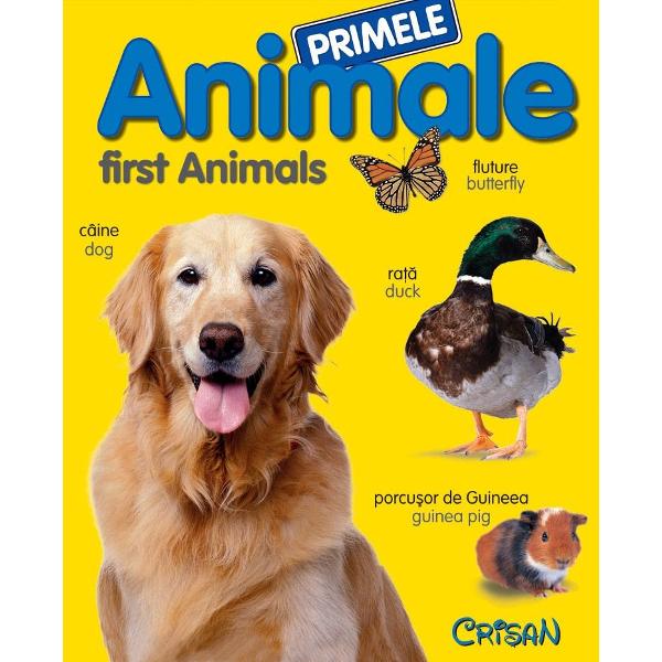 Primele animale. First Animals