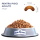 Hrana uscata completa Club 4 Paws Premium pentru pisici adulte - cu Pui, 0.9 kg