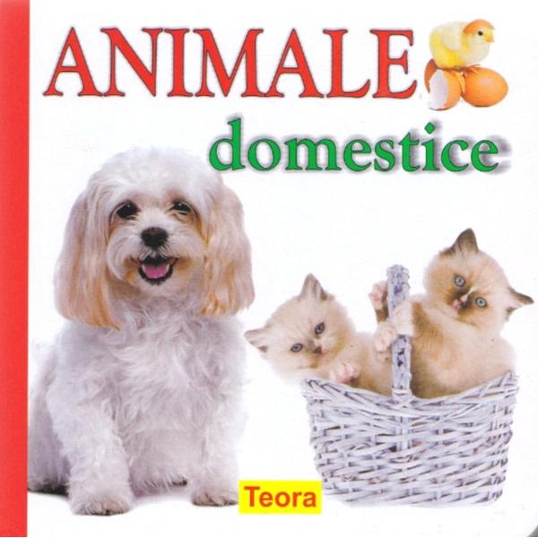 Animale domestice - Diana Rotaru