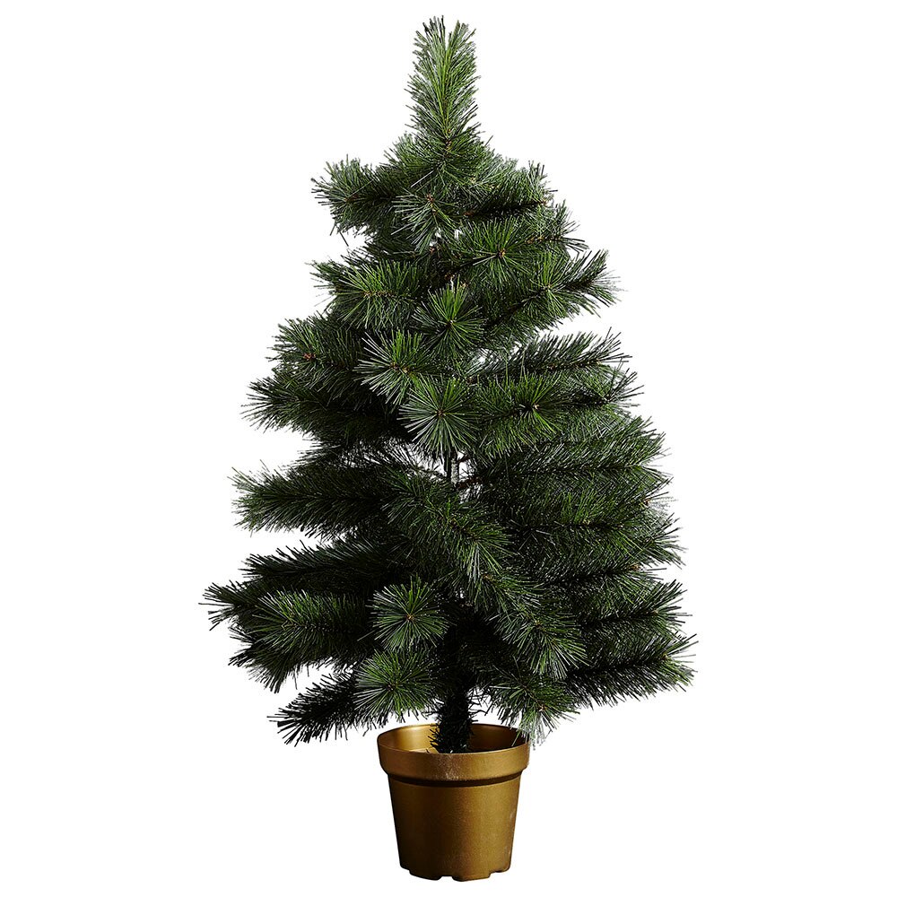 Brad EVO Actuel, 90 cm