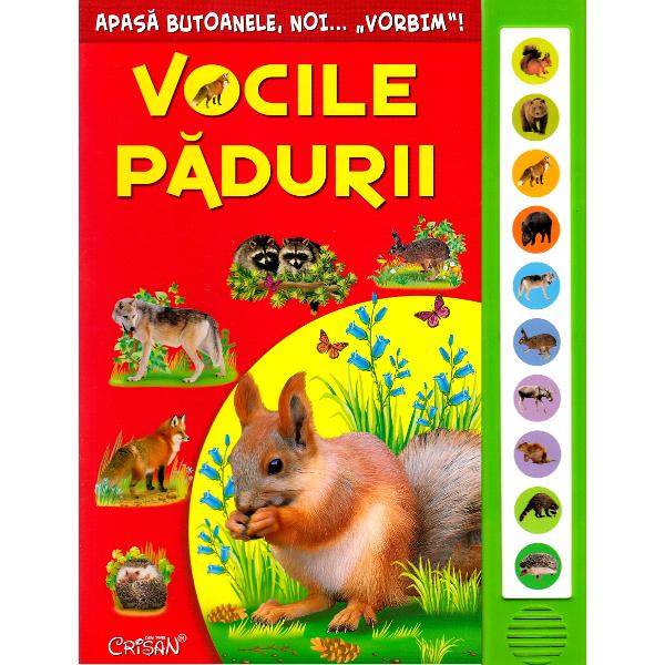 Vocile padurii. Apasa butoanele, noi... vorbim!