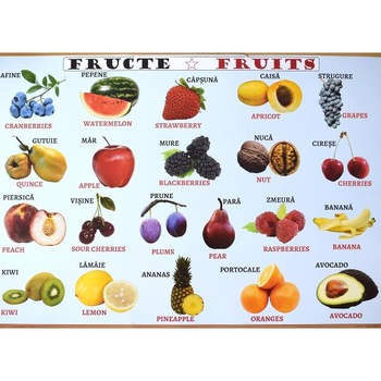 Plansa: Fructe - Legume Plansa: Fructe - Legume