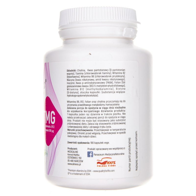 Aliness Vitamina B Complex B-50 Methyl TMG PLUS, 100 Capsule