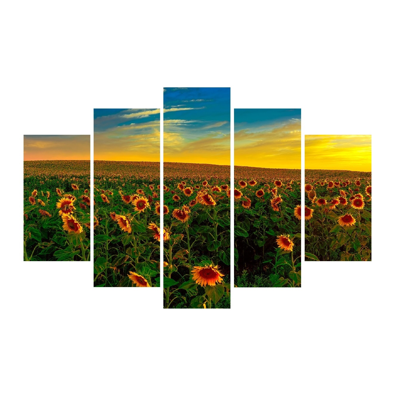 Tablou multicanvas 5 piese Flori 13, 150 x 105 cm