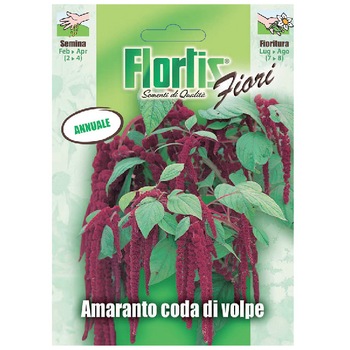 Seminte Amaranthus coda di volpe, plic 2 grame Seminte Amaranthus coda di volpe, plic 2 grame