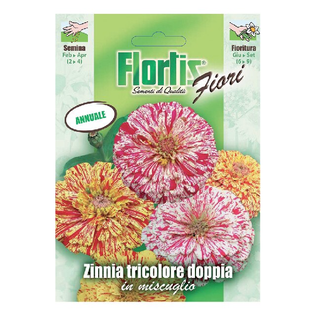 Seminte de Carciumarese tricolore duble, plic 1 gram