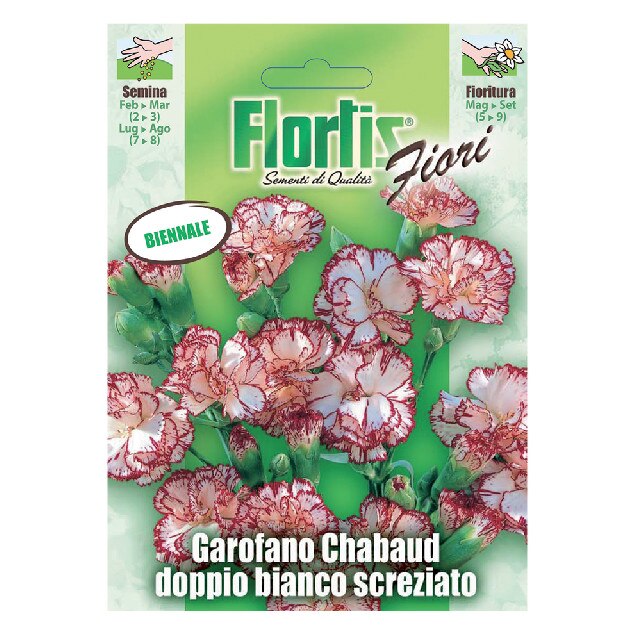 Seminte Garoafe Chabaud alb cu roz, plic 0,5 grame