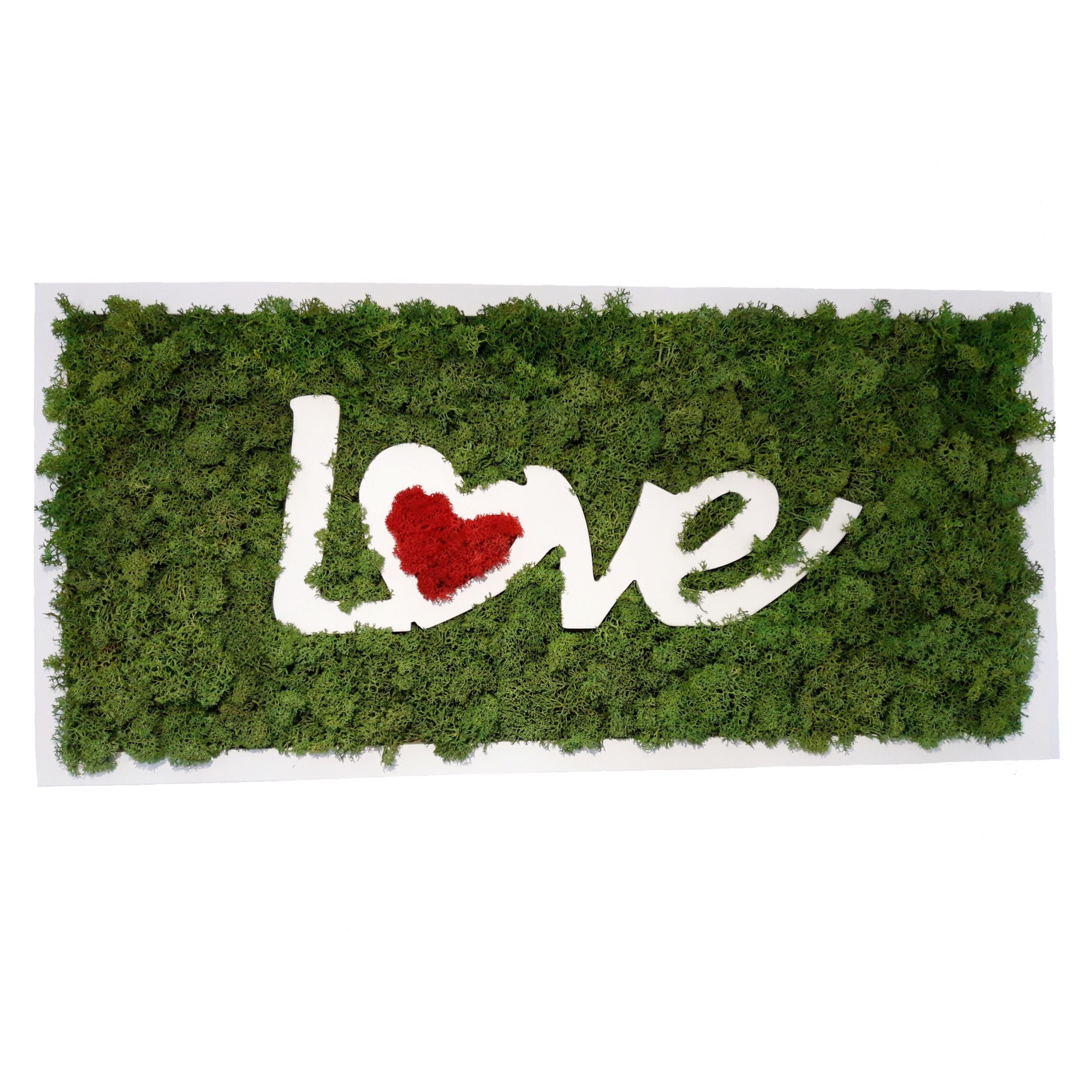 Tablou licheni naturali 