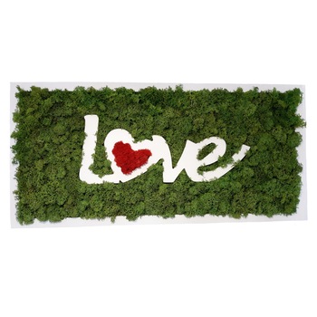 Tablou licheni naturali  Tablou licheni naturali