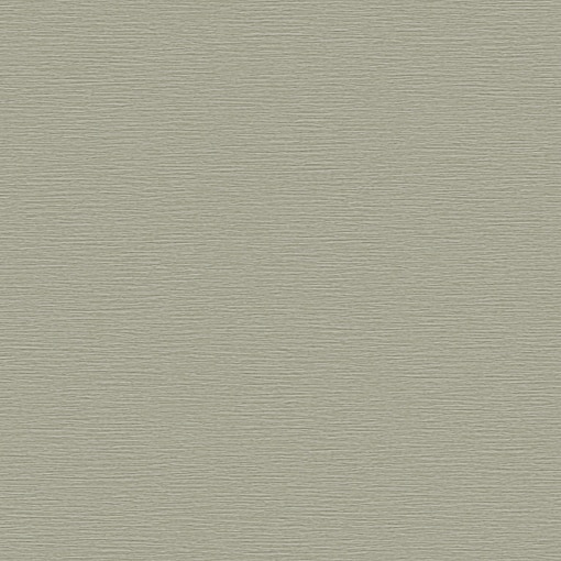 Tapet modern, extralavabil Beaux Arts II, BA220074 Argintiu , 0.53m x 10m