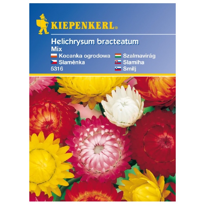 Seminte Helichrysum Imortele, 50 seminte