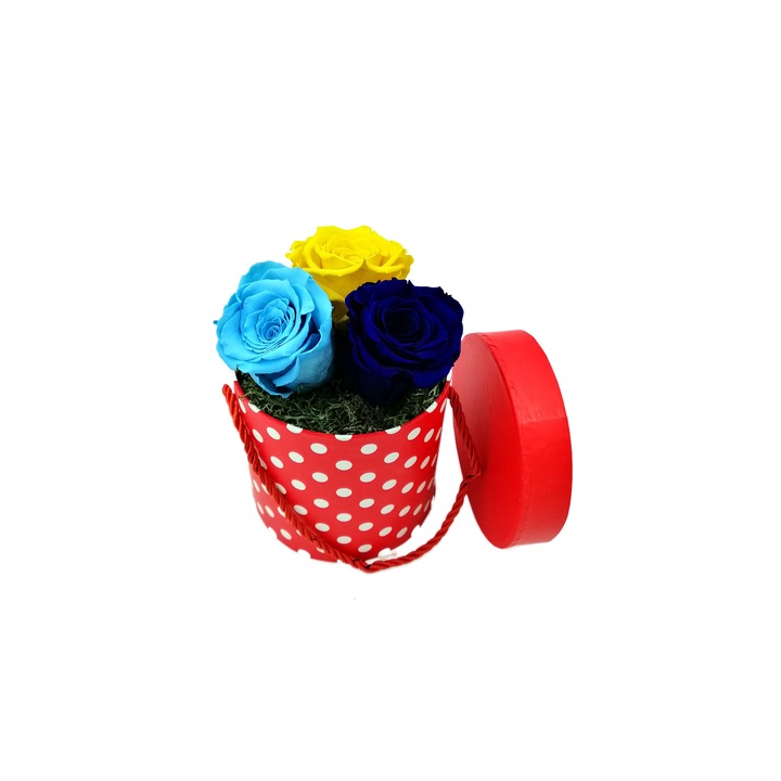 Aranjament 3 Trandafiri Criogenati, turcoaz-galben-albastru, in cutie mica