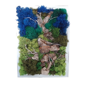 Tablou licheni  Tablou licheni